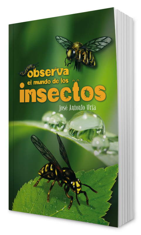 Observa el mundo de los insectos - Tienda Editorial Aces